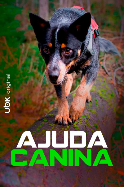 Ajuda canina 